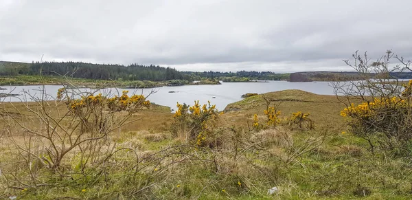 Rlanda Nın Galway Ilçesinde Bir Bölge Olan Connemara Huzurlu Bir — Stok fotoğraf