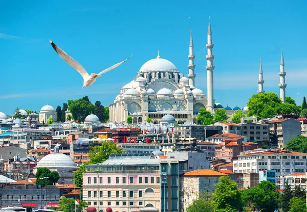 Κωνσταντινούπολη Και Θέα Στο Τζαμί Suleymaniye Τουρκία — Φωτογραφία Αρχείου