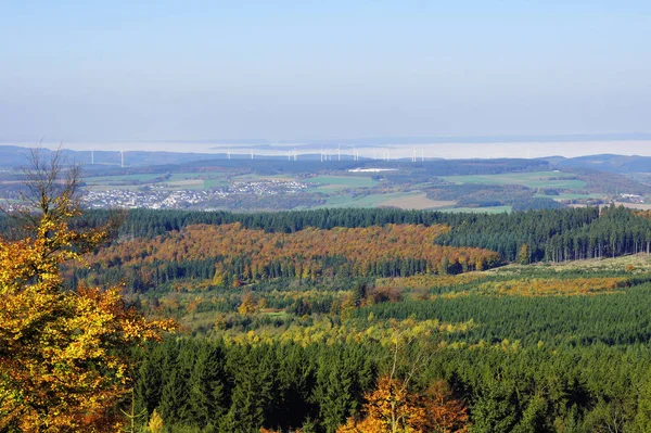 Hunsrck Między Thalfang Haardtwad Morbach Jesienią — Zdjęcie stockowe