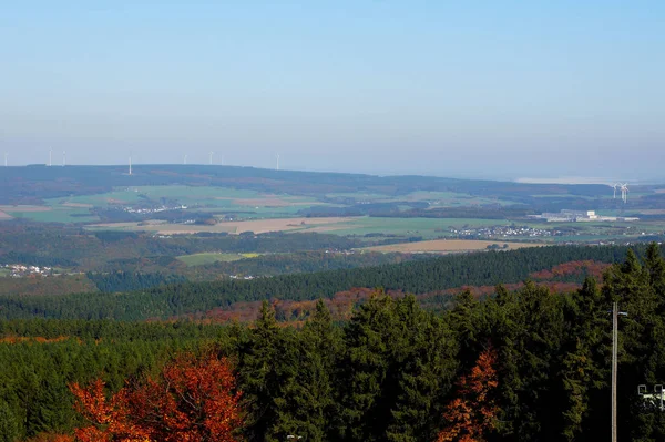 Hunsrck Między Thalfang Haardtwad Morbach Jesienią — Zdjęcie stockowe