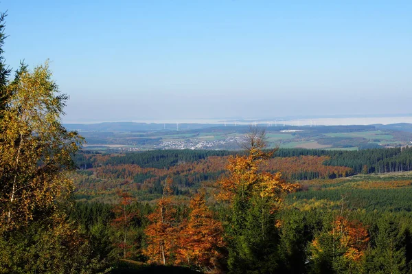 Hunsrck Mellan Thalfang Haardtwad Och Morbach Hösten — Stockfoto