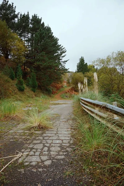 Bomen Berg Wat Gebeurd Spanje — Stockfoto