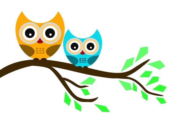 Cute Owls Isolated White Background Rendering — Stock Photo, Image