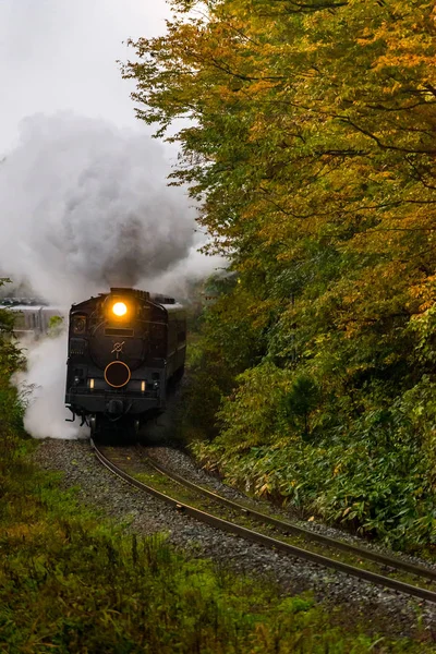 日本福岛秋季森林蒸汽机车 — 图库照片