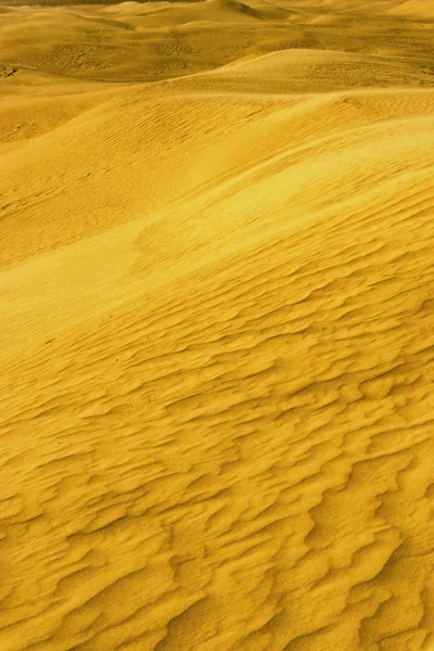 Пейзаж Песчаных Дюн Пустыне Сахара Тунисе — стоковое фото