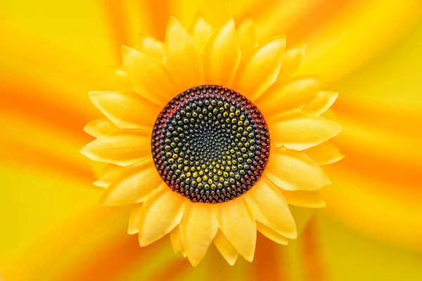 Gran Abanico Girasol Artificial Amarillo Con Fondo Amarillo Naranja Desenfocado — Foto de Stock