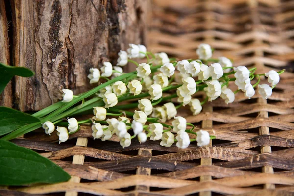 Weiße Maiglöckchen Auf Holz Hintergrund — Stockfoto