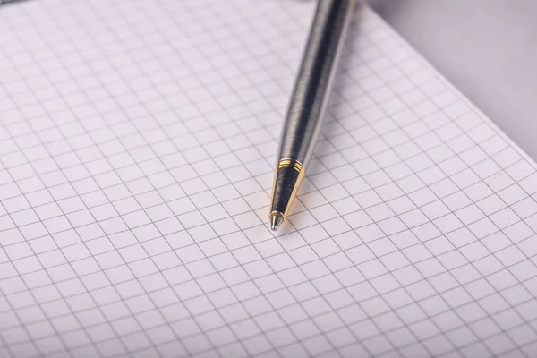 Kalem Bir Dizüstü Bilgisayara Yakın Plan — Stok fotoğraf