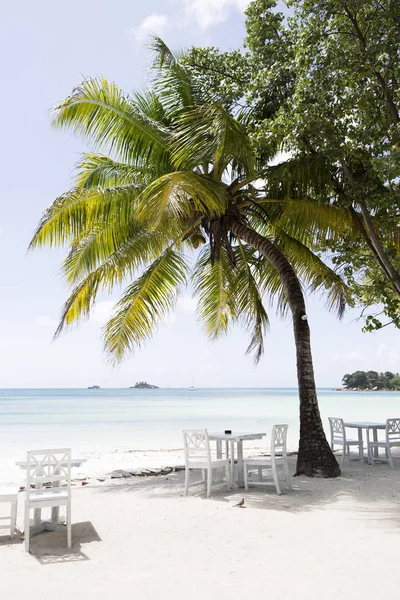 Paisaje Tropical Isla Praslin Seychelles — Foto de Stock