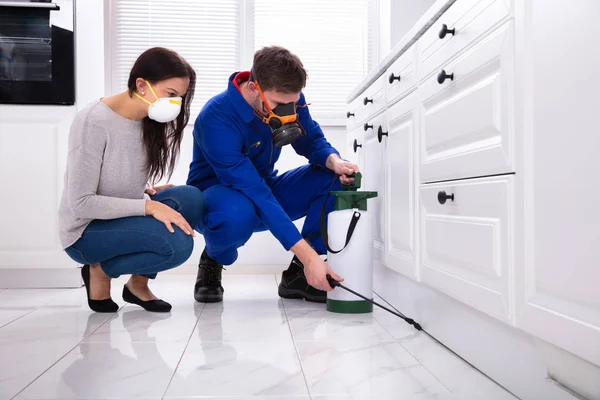 여성보기 Pest Control Worker Spraying Pesultion Wooden Cabinet — 스톡 사진