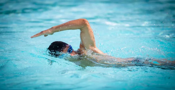 Mand Svømmer Svømning Kravle Blå Vand Pool Portræt Atletisk Ung - Stock-foto