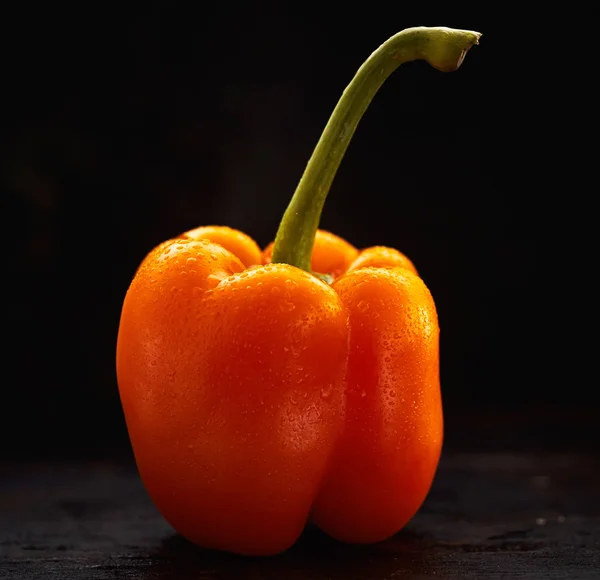 Einzelne Nass Gewaschene Frische Orange Paprika Mit Langem Grünem Stiel — Stockfoto