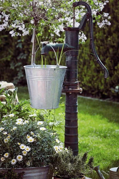 Gartengestaltung Mit Alter Gusseiserner Wasserpumpe Und Verzinktem Eimer Mit Frischen — Stockfoto