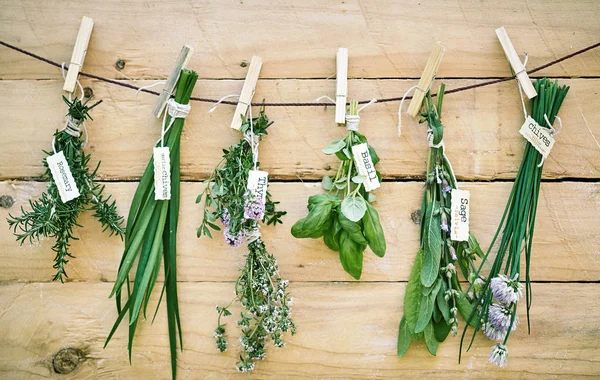 Assorted bunches of fresh herbs with name tags hanging against a wooden wall on a string with rosemary, basil, thyme, sage