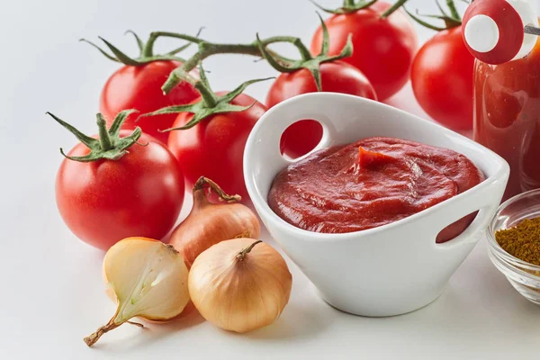 Frische Hausgemachte Tomatensauce Einer Schüssel Mit Zutaten Einer Nahaufnahme Weitwinkelblick — Stockfoto