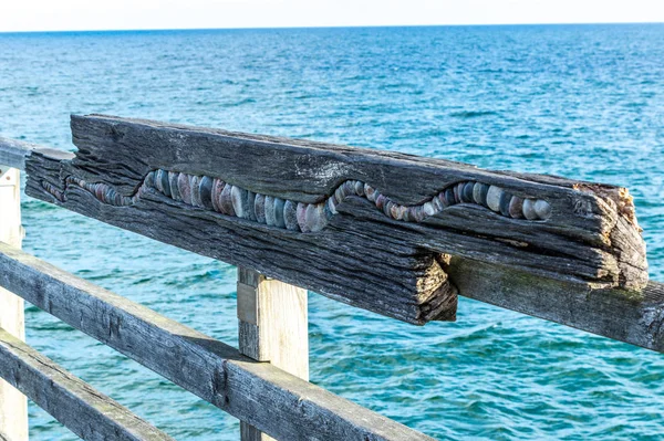 Vista Pittoresca Della Scena All Aperto — Foto Stock