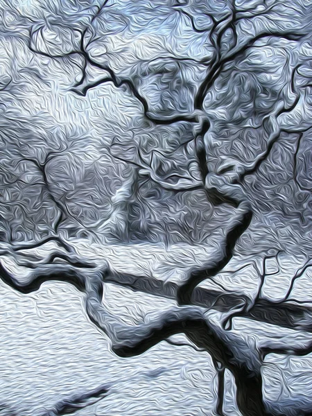 Зимовий Парк Сніг Гілці Дерева — стокове фото