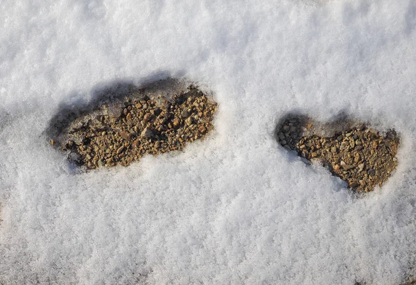 Fußabdrücke Einer Person Die Schnee Geht — Stockfoto