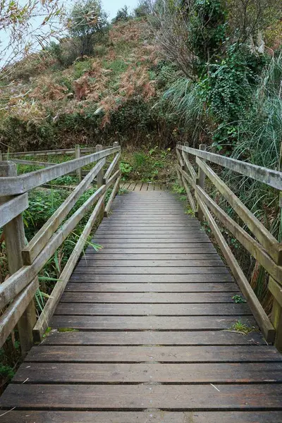 Puente Madera Naturaleza Bilbao Dolor — Foto de Stock