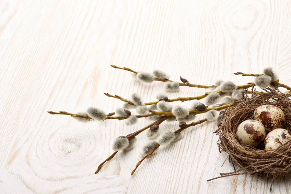 Paasversiering Kwarteleieren Nest Een Tak Kutwilg Houten Ondergrond Bovenaanzicht Met — Stockfoto