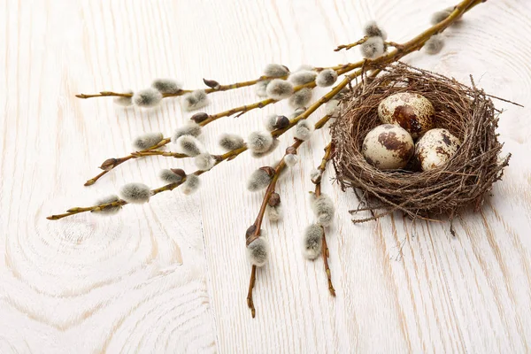 Paasversiering Kwarteleieren Nest Een Tak Kutwilg Houten Ondergrond Bovenaanzicht Met — Stockfoto