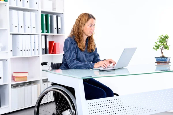 Empresaria Discapacitada Silla Ruedas Que Trabaja Oficina —  Fotos de Stock