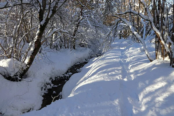 Bela Paisagem Inverno Com Muita Neve Riacho — Fotografia de Stock