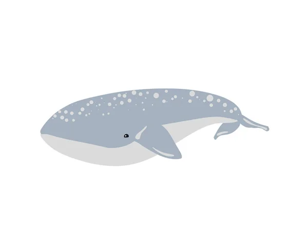 Illustrazione Vettoriale Della Balena Illustrazione Vettoriale Della Balena — Foto Stock