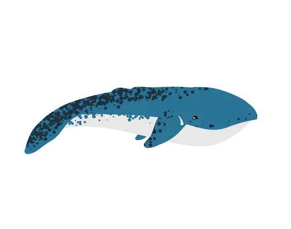 Ilustracja Wektorowa Wieloryba Ilustracja Wektorowa Wieloryba — Zdjęcie stockowe