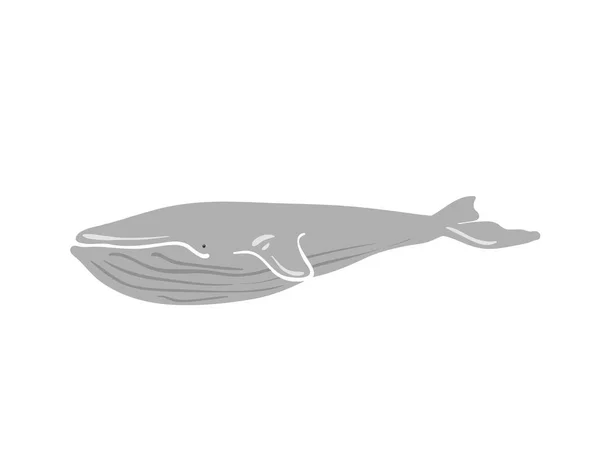 Ilustración Vectorial Ballena Ilustración Vectorial Ballenas — Foto de Stock