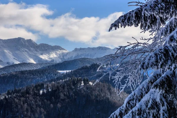 Bergslandskap Vinter Bucegibergen Rumänien — Stockfoto