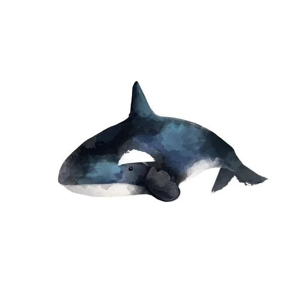 水彩画鲸鱼手绘插图孤立在白色背景上 现实的水下动物 数码现代艺术图解 — 图库照片