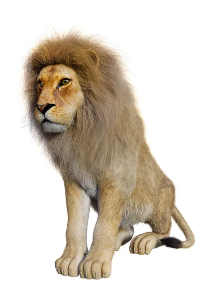 Weergave Van Een Mannelijke Leeuw Geïsoleerd Witte Achtergrond — Stockfoto