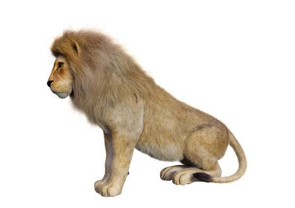 Rendering Male Lion Isolated White Background — Stock Photo, Image