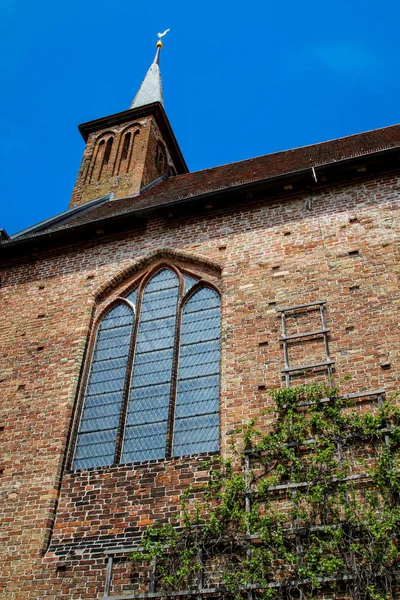 Details Zum Ehemaligen Kloster Ribnitz Dammgarten — Stockfoto