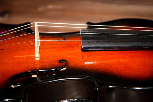 Detalhe Violino — Fotografia de Stock