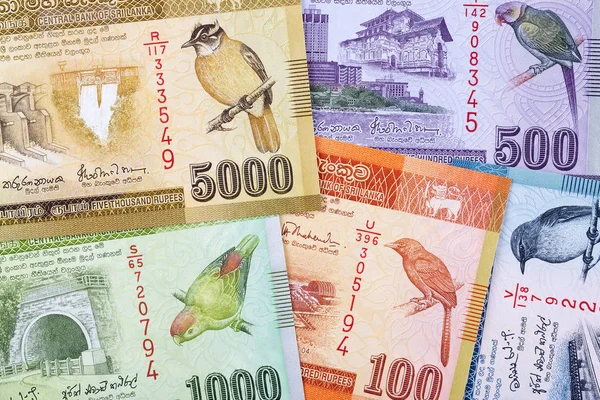 Sri Lanka Rupee Tło Biznesowe — Zdjęcie stockowe