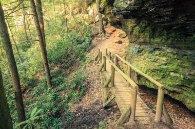 Hiking trail in Natural Bridge State Park in Kentucky clipart