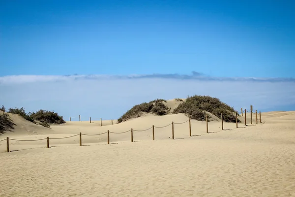 Dettagli Sabbia Deserto Sabbioso Dune Dune Mutevoli Deserto — Foto Stock