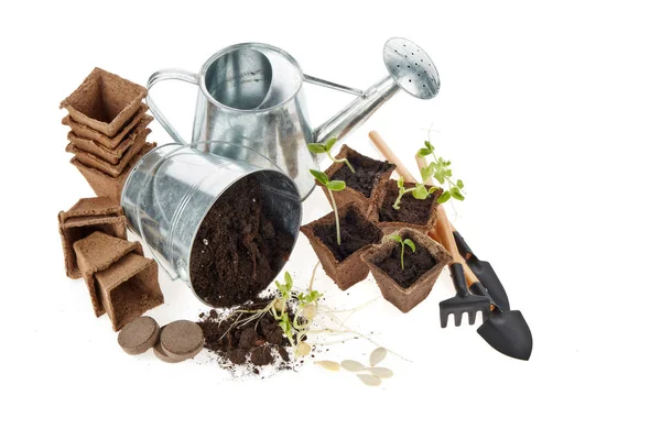 Still Life Gardening Tools Peat Tablets Pots Young Seedlings Isolated — Stock Photo, Image