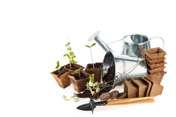 Still Life Gardening Tools Peat Tablets Pots Young Seedlings Isolated — Stock Photo, Image