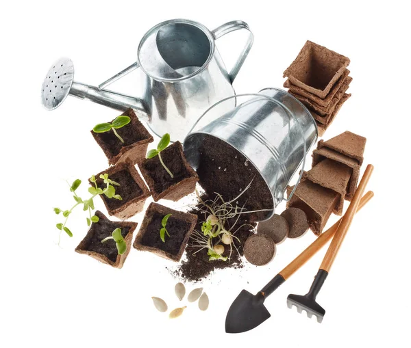 Still Life Gardening Tools Peat Tablets Pots Young Seedlings Isolated — Stock Photo, Image