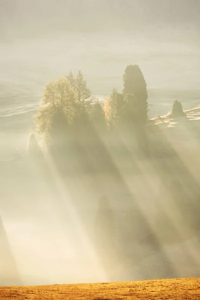 Туманный Пейзаж Альпе Сиузи Альме Рассвете Гора Дамба Италия — стоковое фото