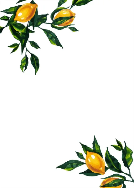 Illustration Lumineuse Dessinée Main Avec Des Branches Citron Pour Invitation — Photo