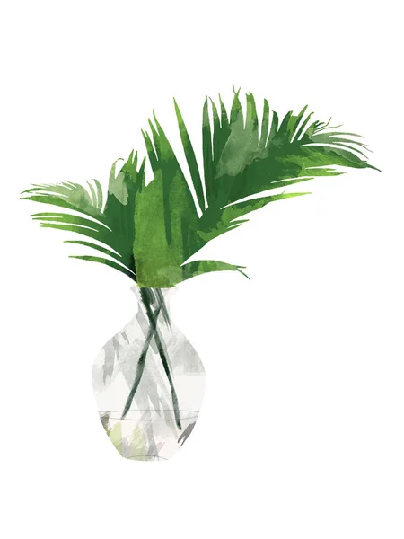Пальмовый Лист Бутылке Вазе Белом Фоне Цветочный Ботанический Клип Дизайна — стоковое фото