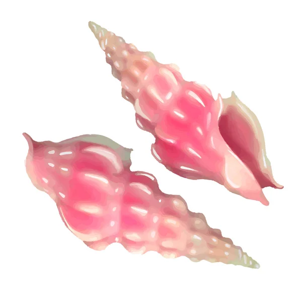 Conjunto Conchas Marinas Rosadas Ilustración Vectorial Bajo Mar Vida Púrpura —  Fotos de Stock
