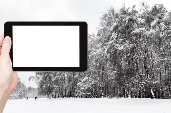 Concepto Viaje Fotografías Turísticas Arboledas Cubiertas Nieve Parque Ciudad Invierno — Foto de Stock