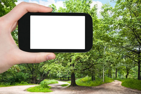 旅行のコンセプト モスクワの晴れた夏の日に都市公園内の大きなオークの木の観光写真広告のための空白の場所とスマートフォンの空の切り抜き画面 — ストック写真