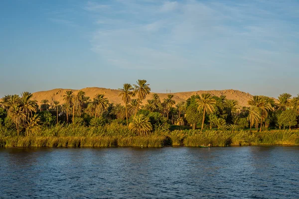 Rzeki Nil Zielonym Brzegu Palmy Żółty Pustyni Egipt Października 2018 — Zdjęcie stockowe