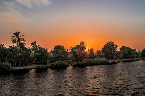 Palmen Die Sich Wasser Beim Sonnenuntergang Ufer Des Nils Spiegeln — Stockfoto
